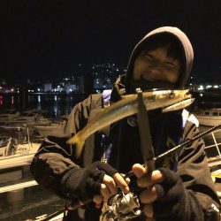 気難しいカマスに勝負!!