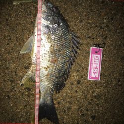 リッツで購入した竿の試し釣り