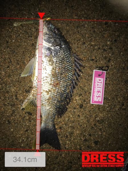 リッツで購入した竿の試し釣り