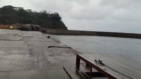 爆風の中の奇跡のイカ