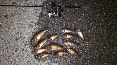 ちょっくら確認！