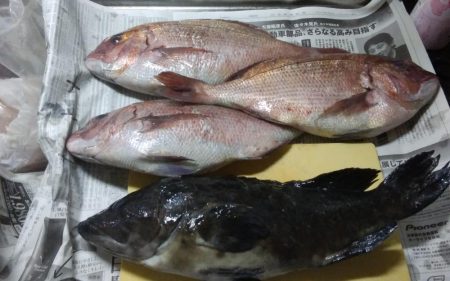 カタタの釣り掘りでカンパチ狙い