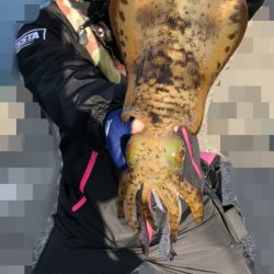 久々に出逢えました!