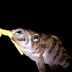 リベンジのリベンジ