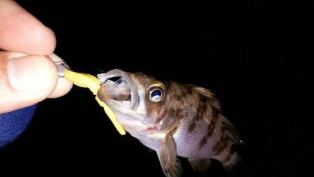 リベンジのリベンジ