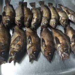 やっと見つけた。