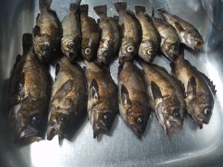 やっと見つけた。