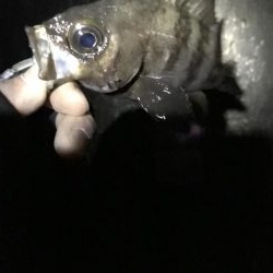 寒かったです！