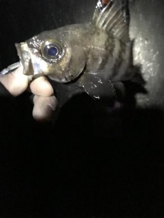 寒かったです！