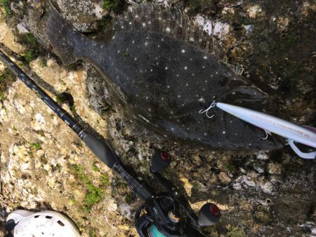 プラッギング&エギング