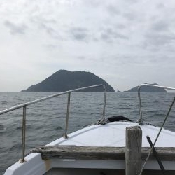 海友 メバル、ガシラ