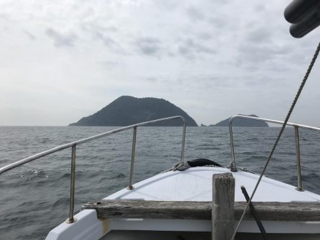 海友 メバル、ガシラ