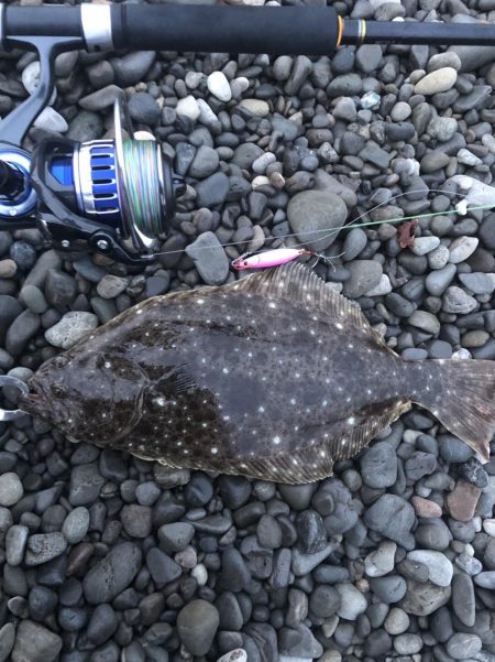 ヒラメ釣ってオーセイ！2