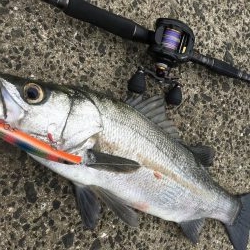 荒天ランガンプラッギング