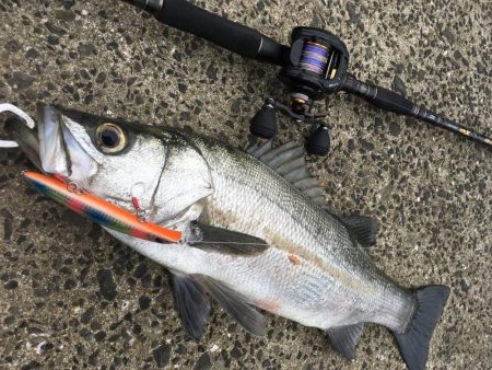 荒天ランガンプラッギング