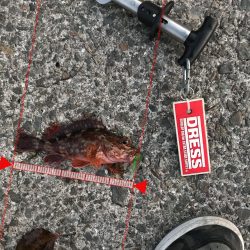 神戸ライトゲーム