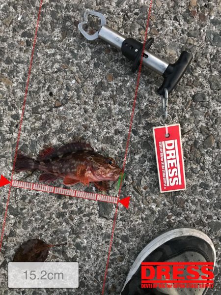 神戸ライトゲーム