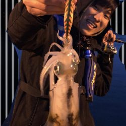 久しぶりのアオリイカ!!