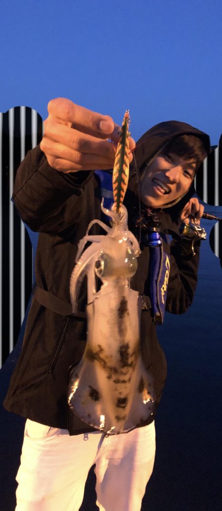 久しぶりのアオリイカ!!