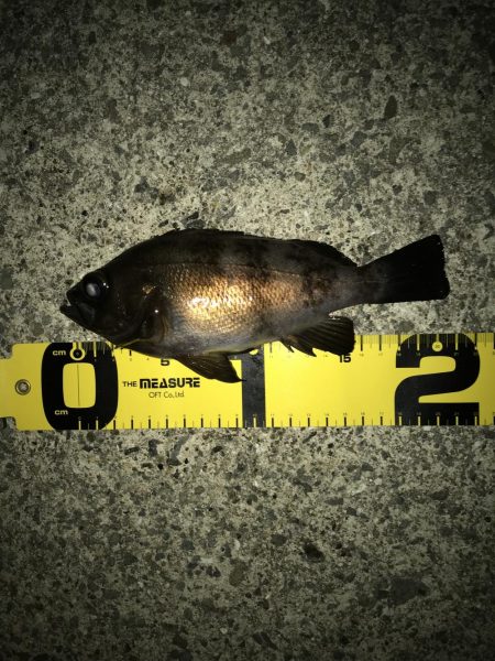 アナハゼ も楽しい！