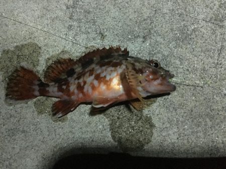 私が知る限りここは最悪です