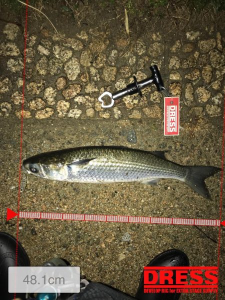 武庫川河口ライトゲーム