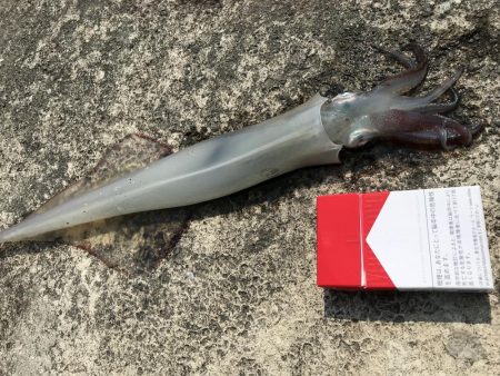 坊主かと思いきや、、