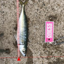 小雨の中でライトゲーム