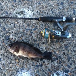 渋いライトゲーム