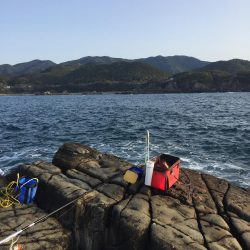 グレフカセ厳しい