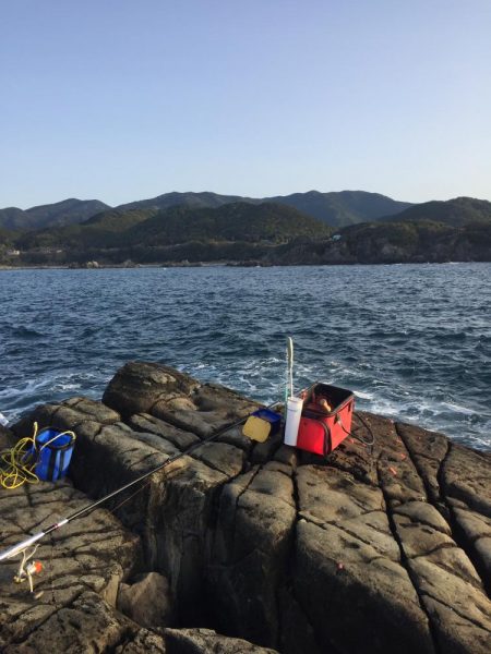 グレフカセ厳しい