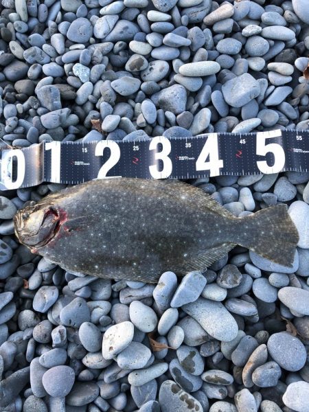 ヒラメ釣ってオーセイ！