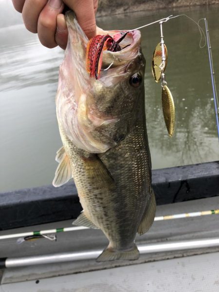 バスフィッシング