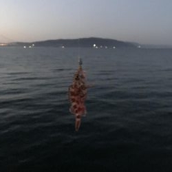 サイズが、、、