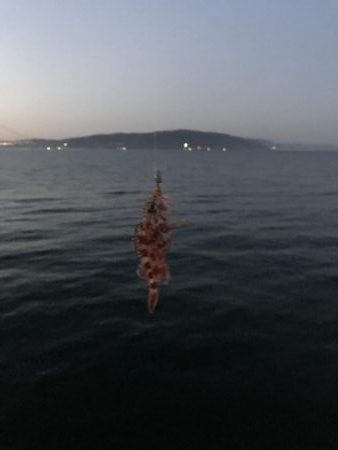 サイズが、、、