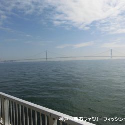 まだまだ渋いベランダ釣行