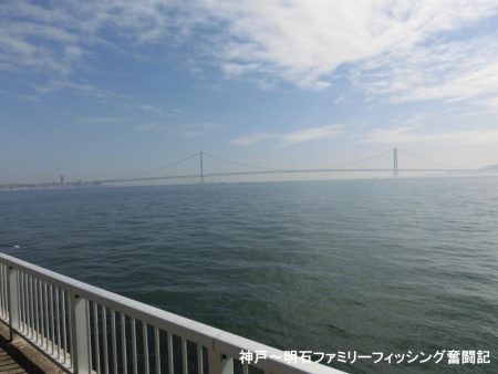 まだまだ渋いベランダ釣行