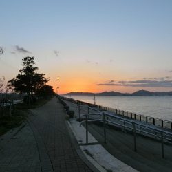 強風激流で頑張ってみたが