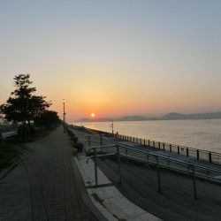 気候は良かったが