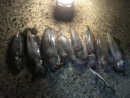 小さいけど沢山