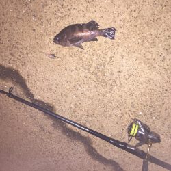 せっかく期待したのに！