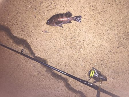 せっかく期待したのに！