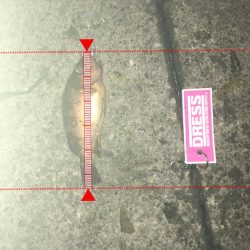 マイクロワインド