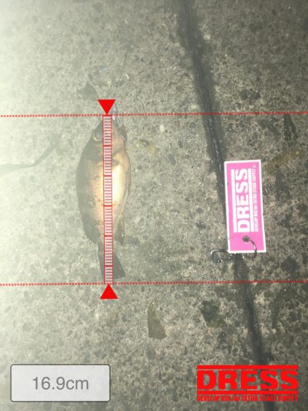 マイクロワインド