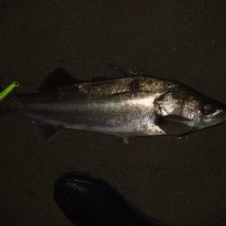 まだまだアフター居ます