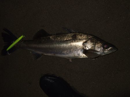 まだまだアフター居ます