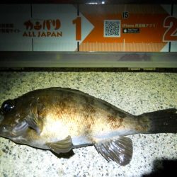 暖かくなったので