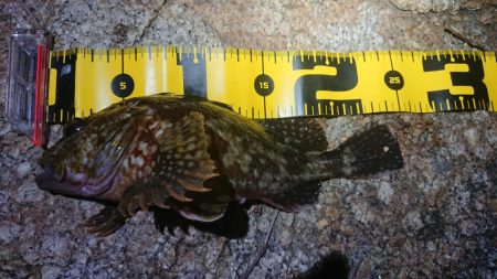 仕事終わりメバリング