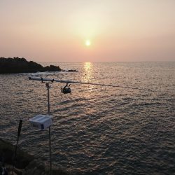 勝浦でグレ釣り