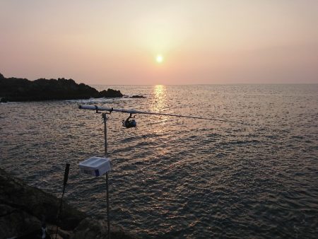 勝浦でグレ釣り